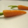 Teeny Carrot